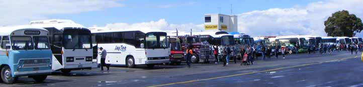 Sandown Bus Display